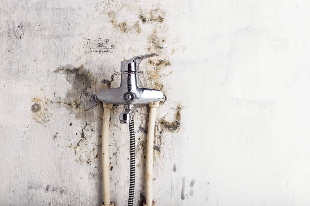  Antioch, CA Mold Removal Pros