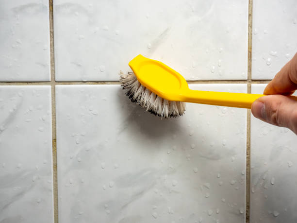 Best Mold Removal Company Near Me  in Antioch, CA