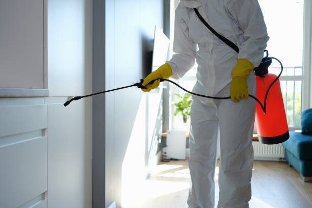 Best Mold Cleaning Services  in Antioch, CA