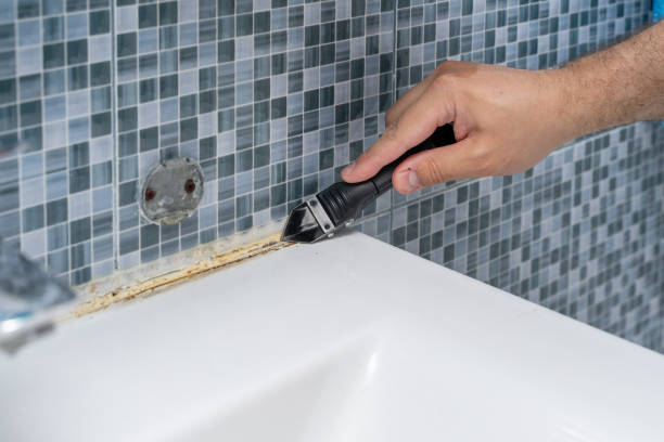 Best Certified Mold Removal  in Antioch, CA